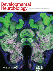 Cover of the journal "Developmental Neuobiology" (2016) Volume 76 Number 4 