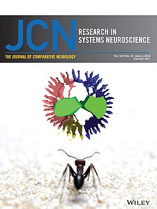 Titelbild des "Journal of Comparative Neurology" (2021) Volume 529 Issue 8