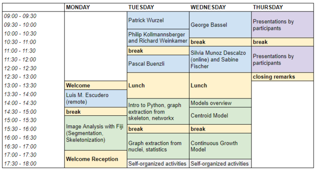 Preliminary Program Summer School 2023