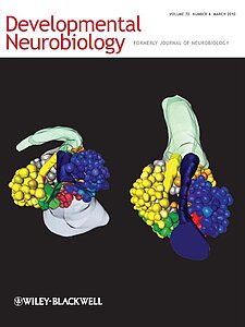 Cover of the journal "Developmental Neurobiology (2010) Volume 70 Number 4"