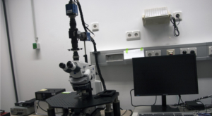 Picture: Wide-Field Live Cell Imaging Setup  Zeiss Axio Examiner.D1 / Visitron Systems