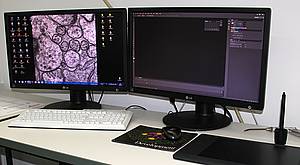 Picture: Workstation for Image Analysis