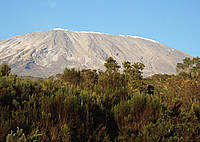 Der höchste Berg Afrikas, der gut 5.890 Meter hohe Kilimanjaro, steht im Mittelpunkt eines Forschungsvorhabens von Professor Ingolf Steffan-Dewenter. (Foto Claus Bünnagel / Pixelio.de) Der höchste Berg Afrikas, der gut 5.890 Meter hohe Kilimanjaro, steht im Mittelpunkt eines Forschungsvorhabens von Professor Ingolf Steffan-Dewenter. (Foto Claus Bünnagel / Pixelio.de)